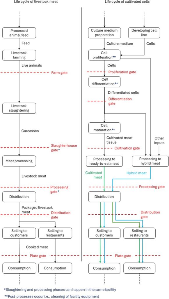 thịt trồng trọt lca