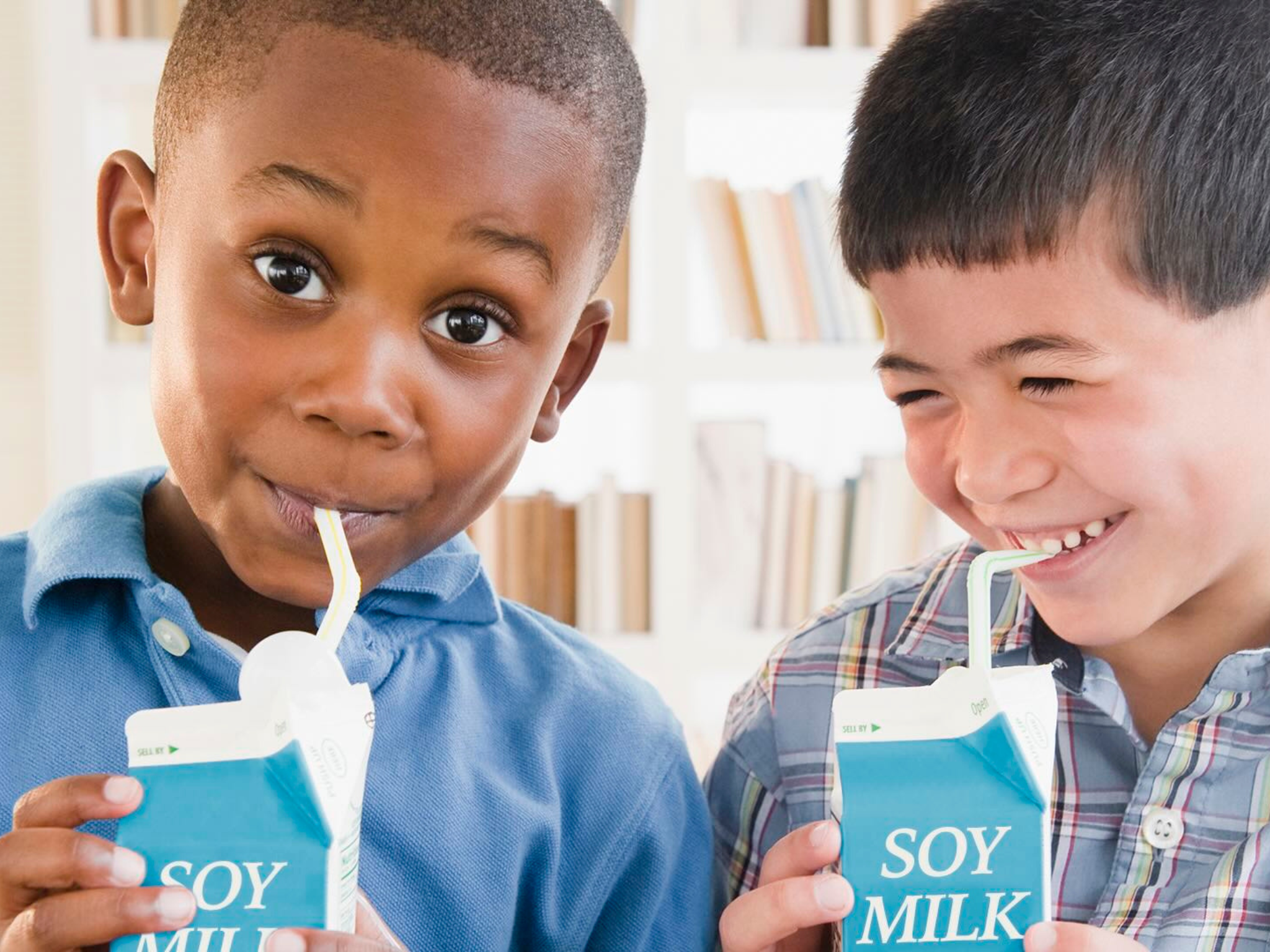 non dairy milk schools