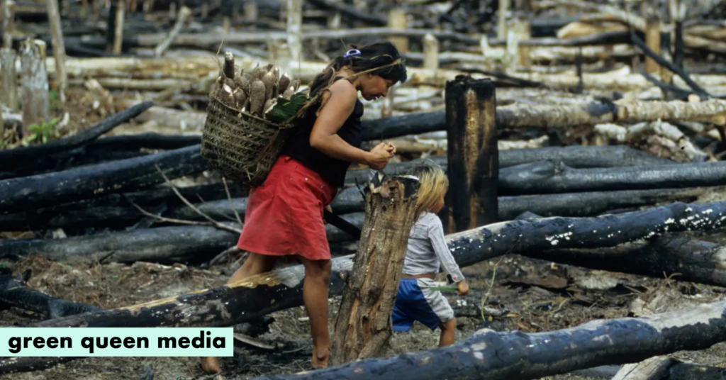 Brazilian Soy Giants Abandon Amazon Conservation Pact, Raising Deforestation Fears