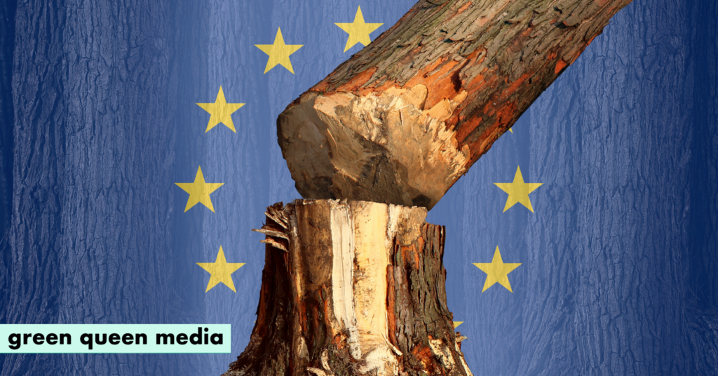 Billions of Dollars Marketed As ‘Green’ Are Quietly Fuelling Deforestation