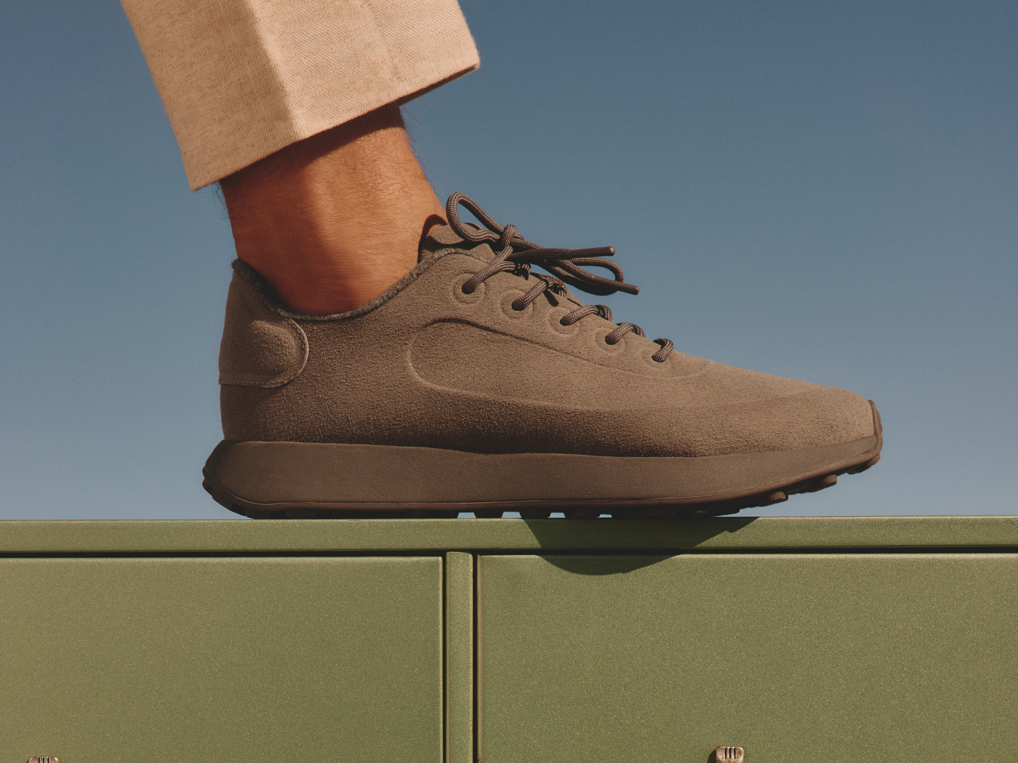 allbirds terralux