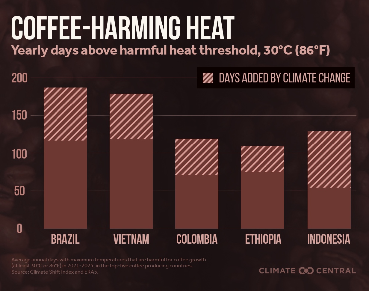 coffee climate change