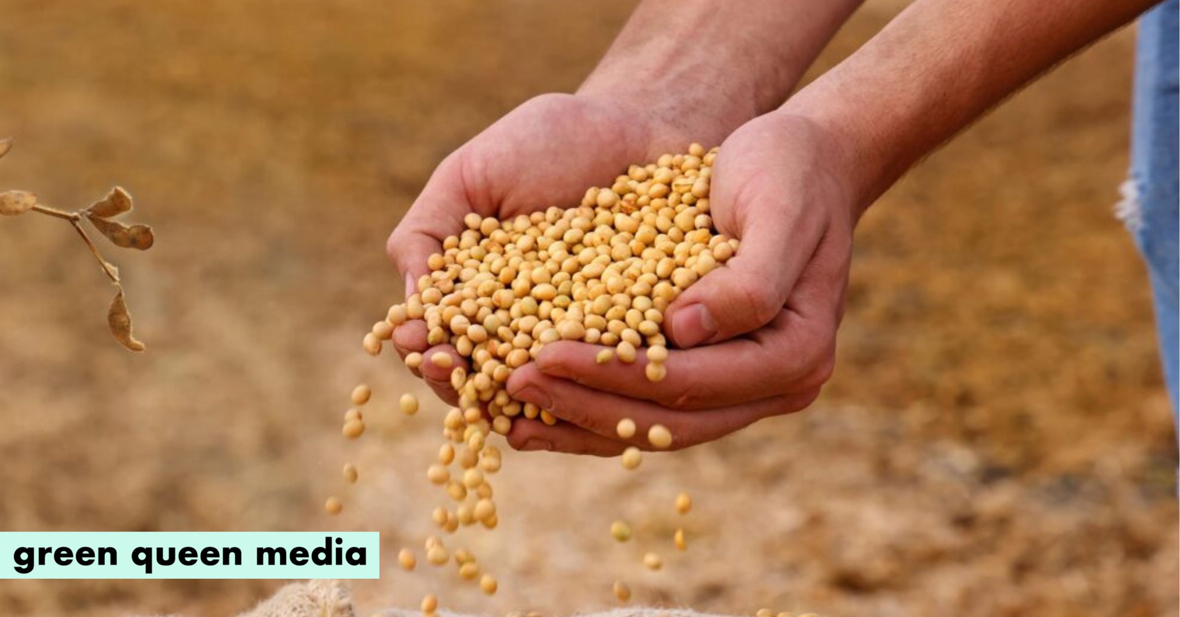 75 Projects, Seven Pillars, €3B in Funding: How Europe Can Achieve A Sustainable Protein Transition