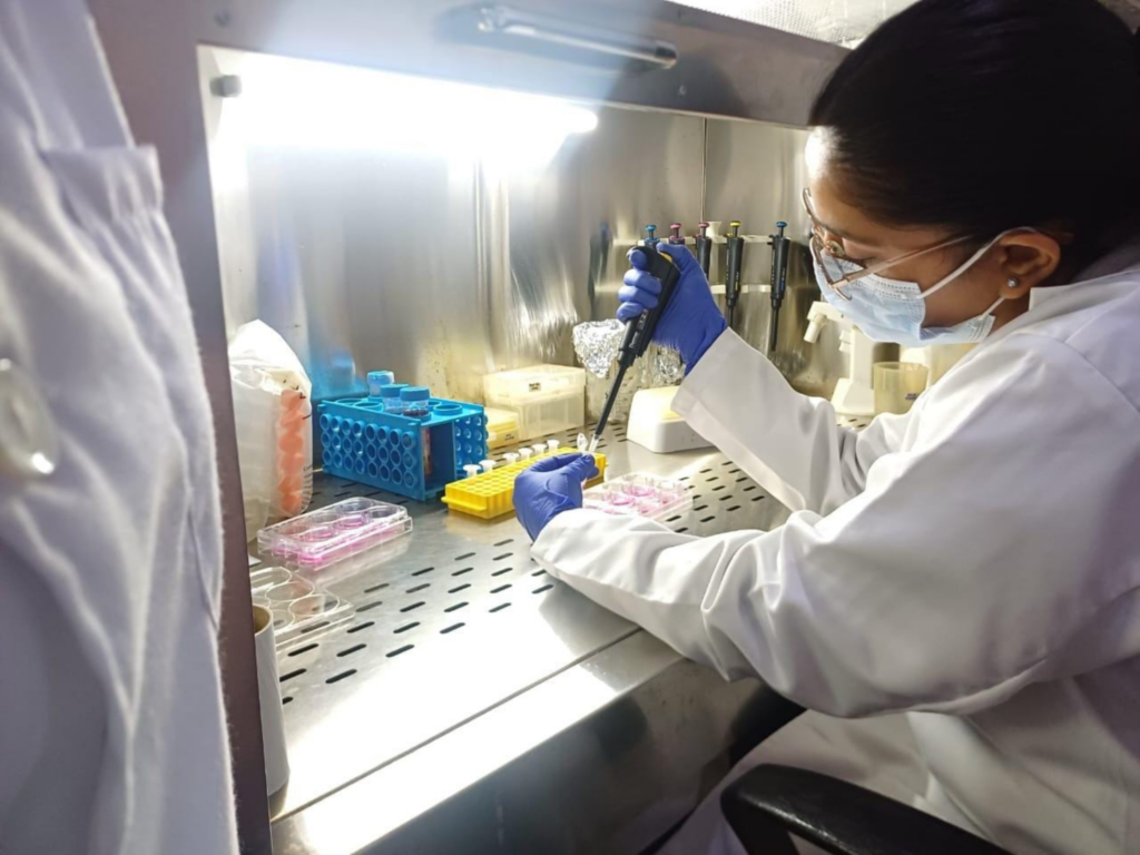 alternative protein india