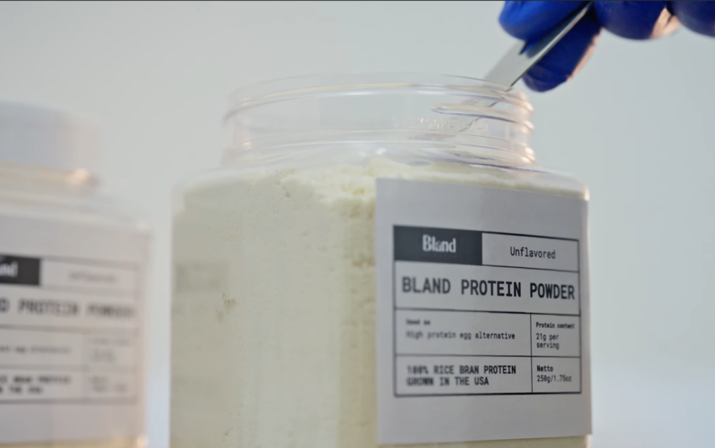 vegan egg substitute