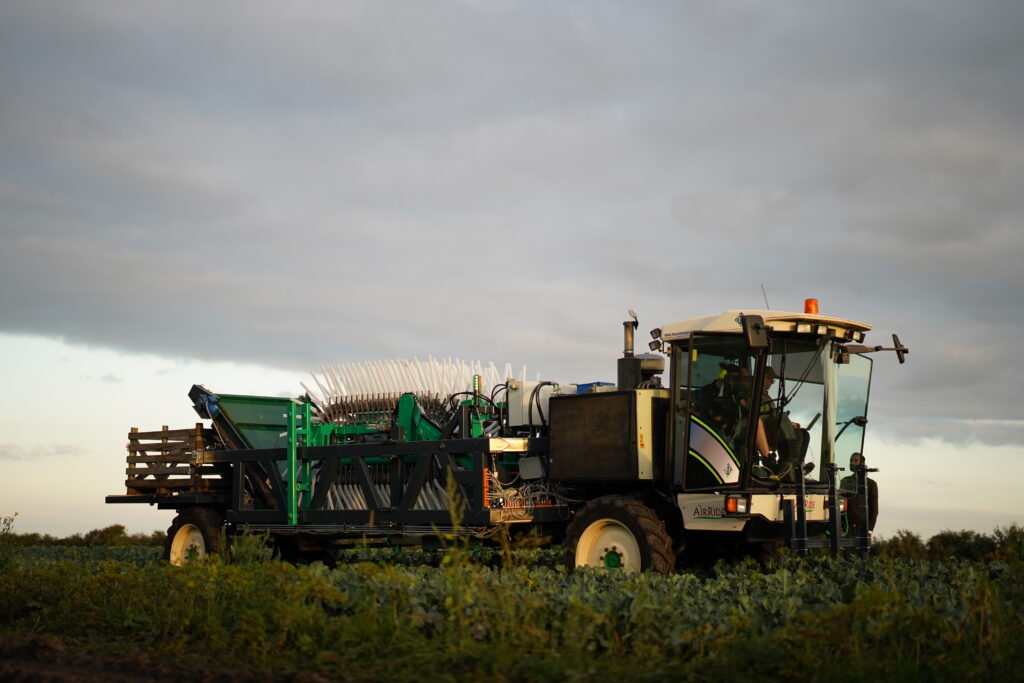 upp broccoli harvester
