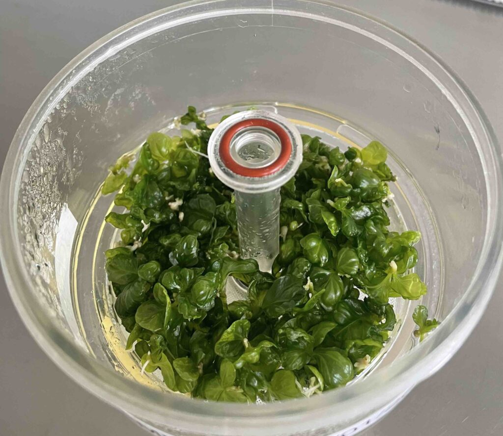 climate resilient coffee