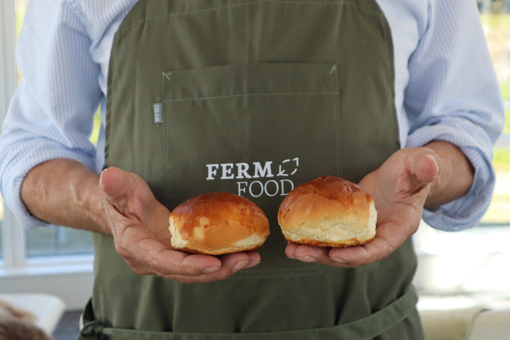 fermented plant based foods