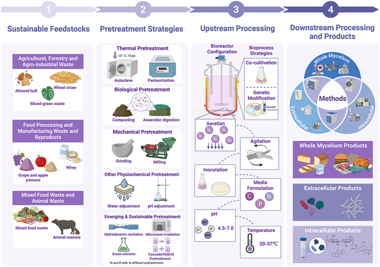 fermentation food waste