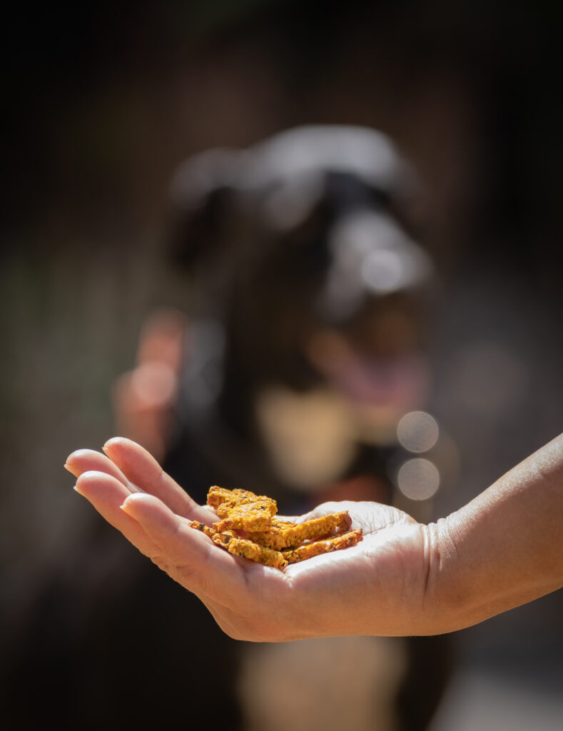 lab grown meat pet food