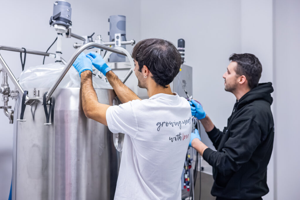 cultivated meat yield