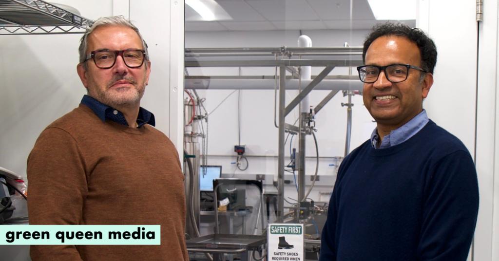 MycoTechnology Cleared to Sell Honey Truffle Protein 2,500 Times Sweeter Than Sugar