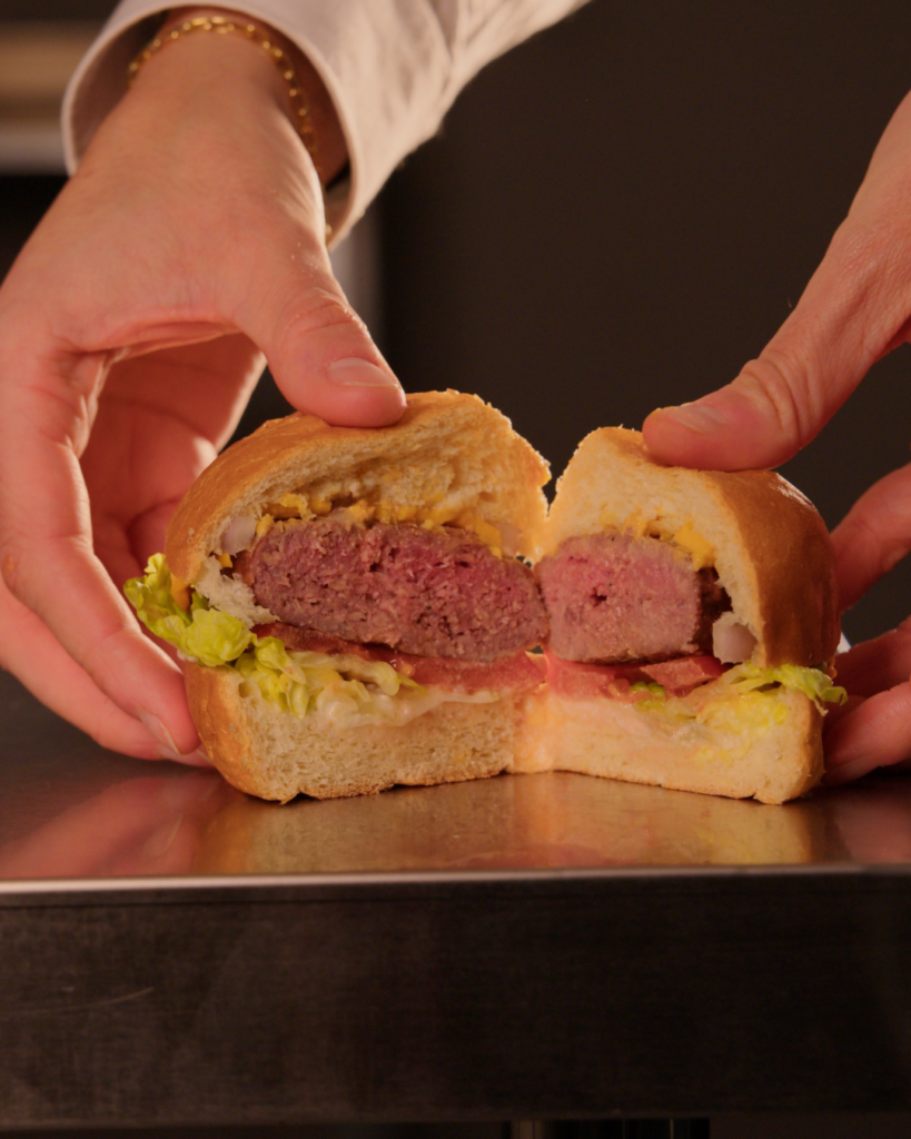 novameat blended burger