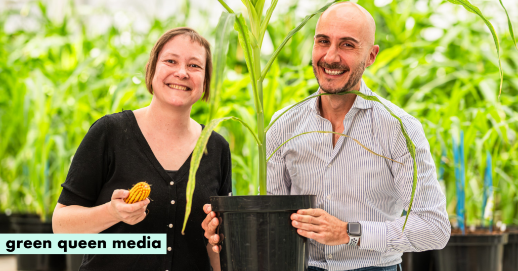 Bill Gates Awards $7M Grant to Belgian Startup Using AI to Develop Climate-Resilient Crops