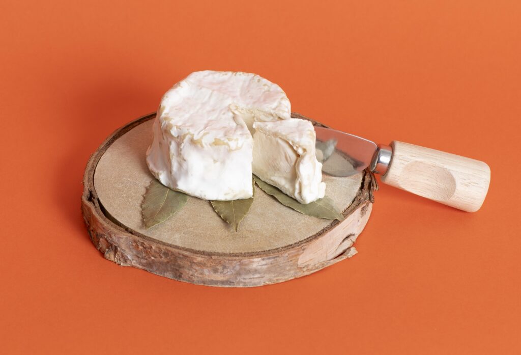 Standing Ovation Bags $34.2M from Bel, Danone & French Govt to Launch Animal-Free Casein