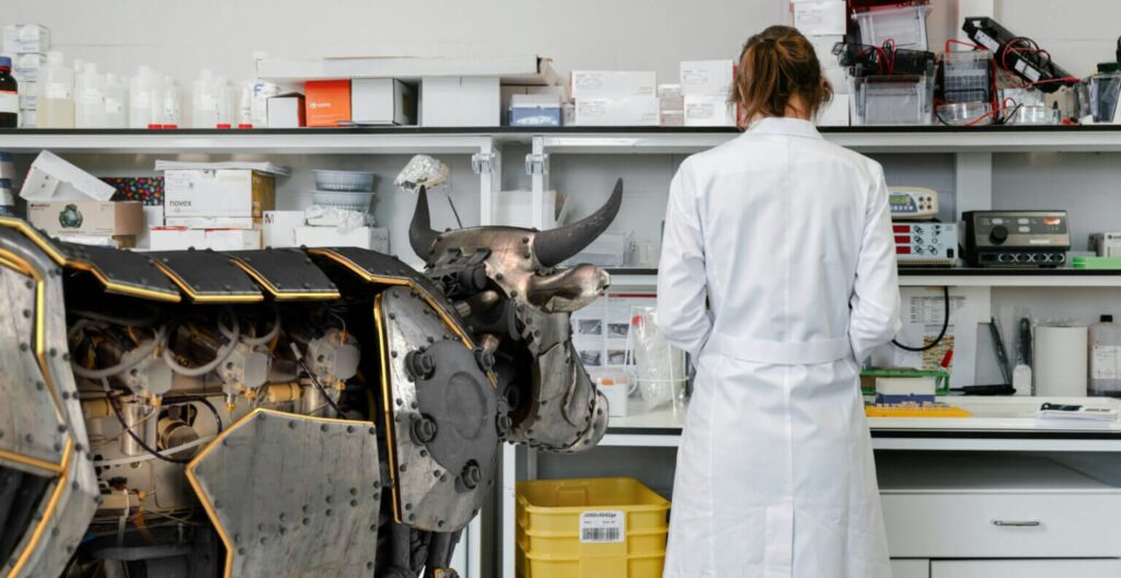 precision fermentation cheese