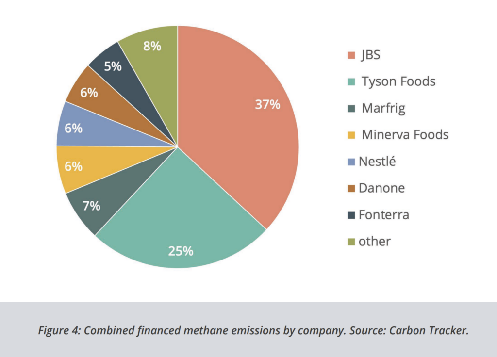 Banks Are Failing on Methane Action, with $159B Provided to the Food Industry’s Largest Emitters
