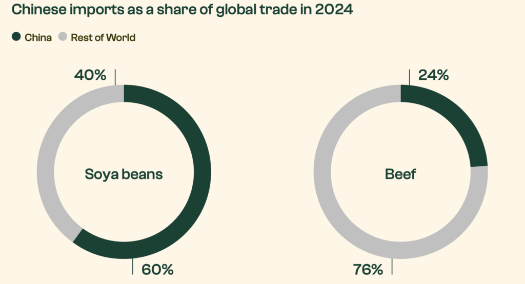 How China is Deploying Its Green Energy & EV Playbook to Lead the Protein Transition
