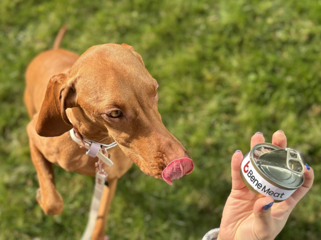 Is Cultivated Meat Better for the Planet? This New Study Confirms Climate Impact