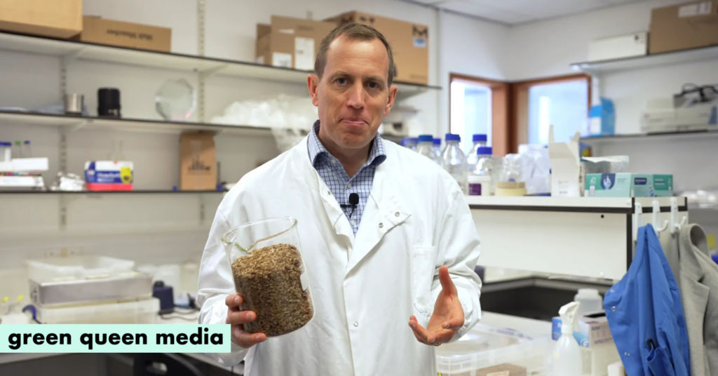 UK Startup Fermtech Gets $3.3M to Make Climate-Friendly Cocoa Alternative from Waste & Fungi