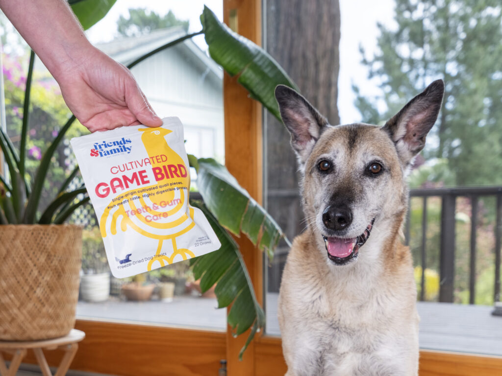 Friends & Family Pet Food Launches Cultivated Meat for Cats & Dogs in Singapore