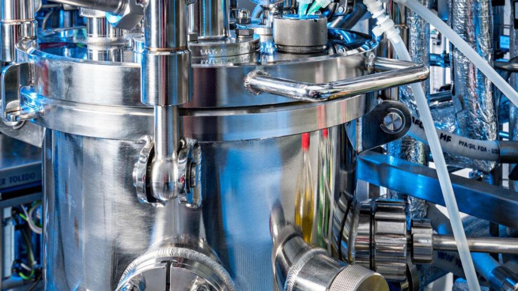 university of hohenheim biotechnology