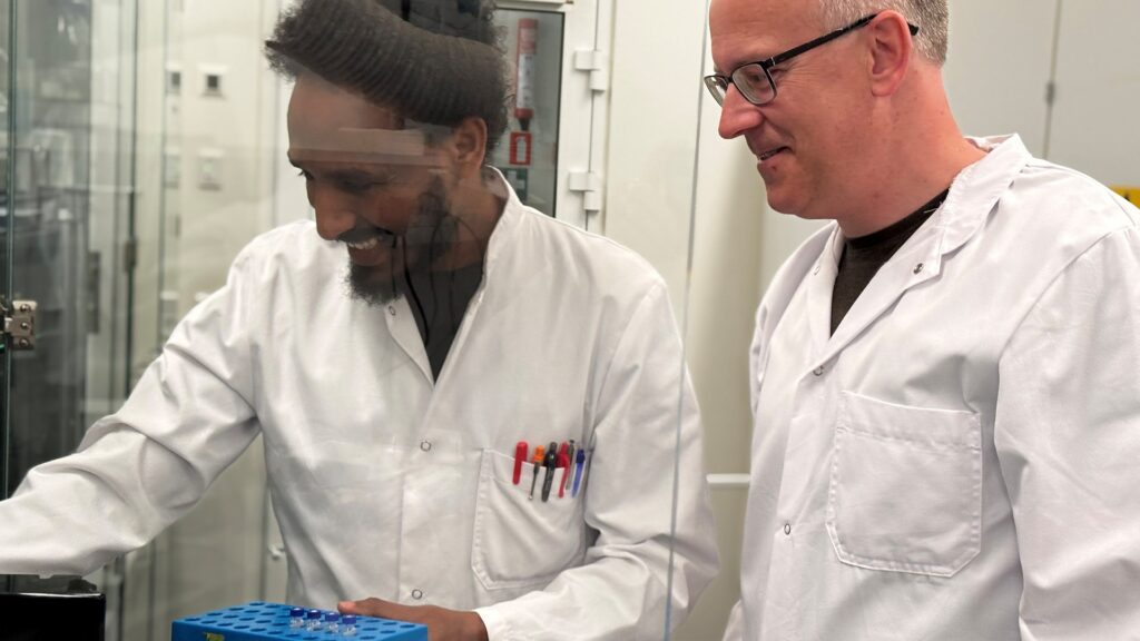 soy yoghurt lactic acid