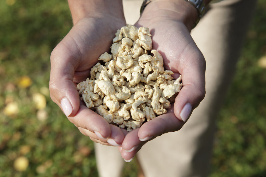 Happy Plant Protein to Build $7M Facility in Latvia to Deploy Extrustion Tech at Industrial Scale