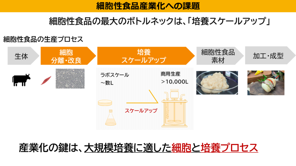 Japan’s Organoid Farm Scales Up Cultivated Meat Production &amp; Teases New Facility
