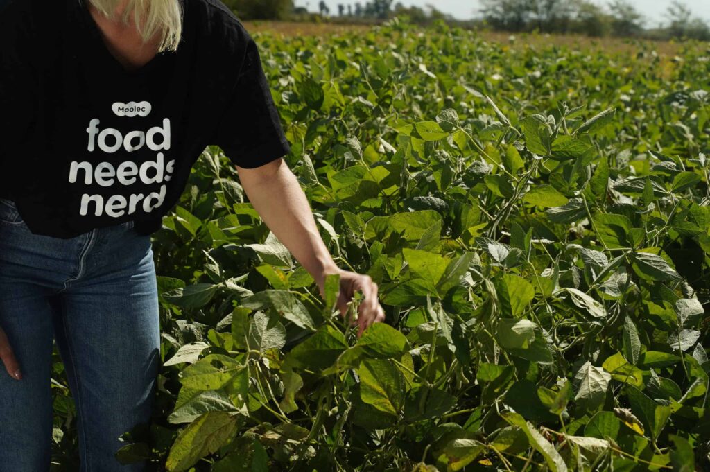 Molecular Farming Pioneer Moolec Science Produces Iron-Rich Beef Protein in Pea Seeds