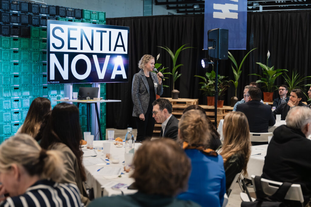 plant based meat taste