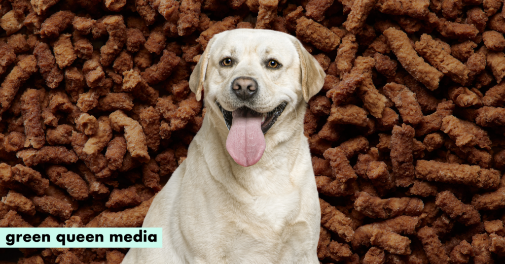 Pekilo Mycoprotein: The Future of Sustainable Pet Nutrition Arrives in Dog Treats