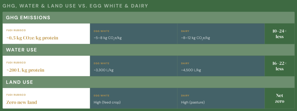 Fudi Protein Bags Funding to Make Egg & Dairy Alternatives from Rubisco