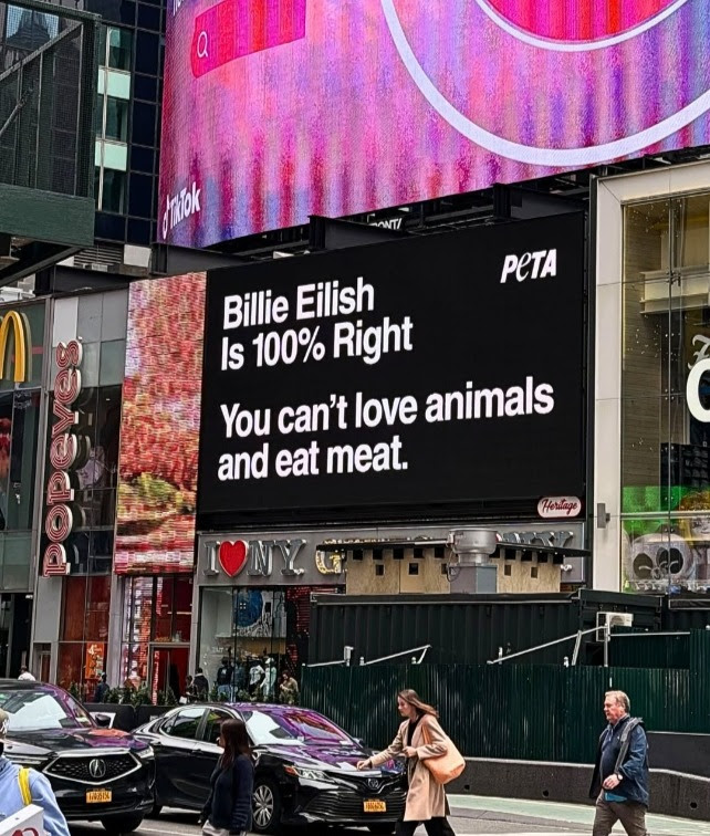 billie eilish beef