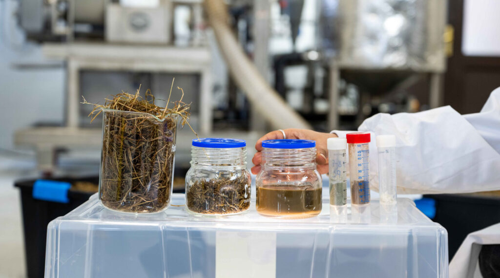 Irish University Bags $3.5M in Govt Funding to Turn Grass Into Protein