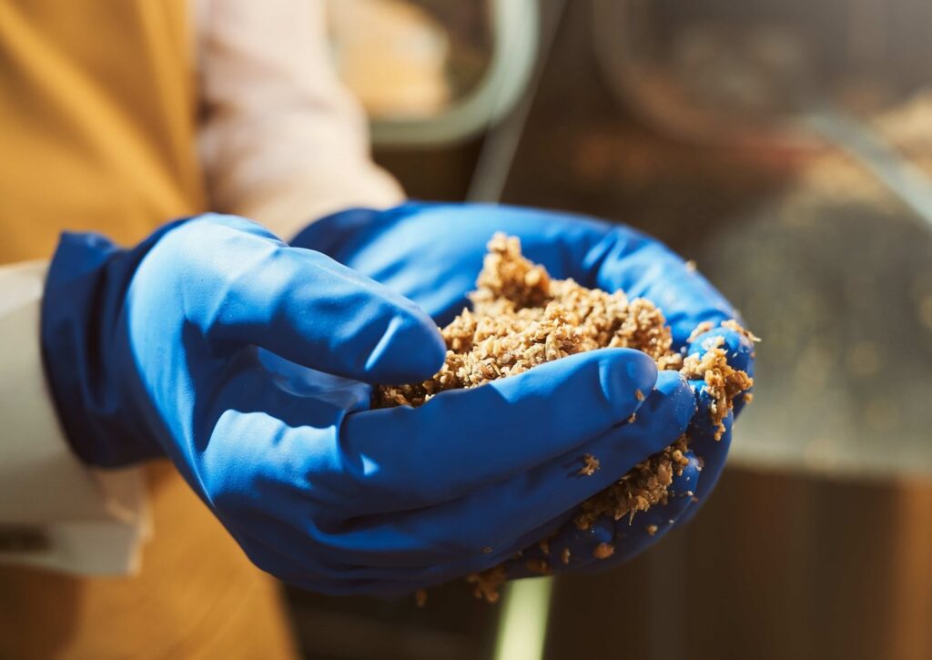 spent brewers grain protein