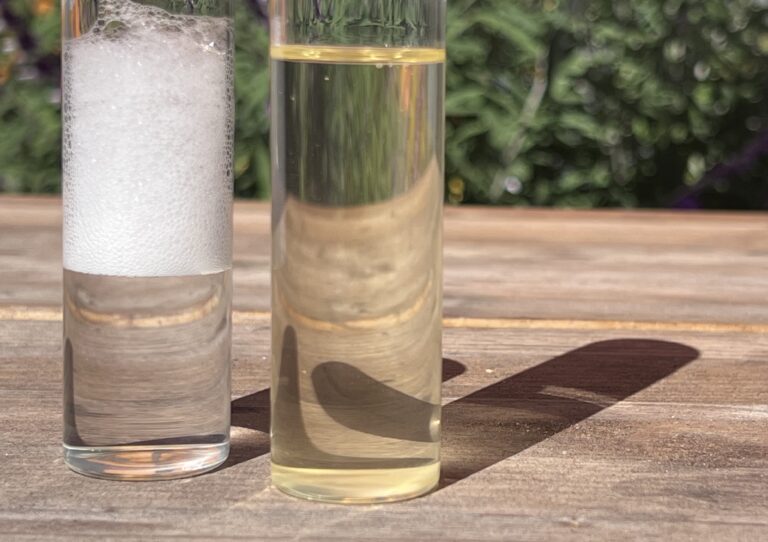 Ruby Bio Hits Fermentation Breakthrough for Clean-Label Emulsifiers