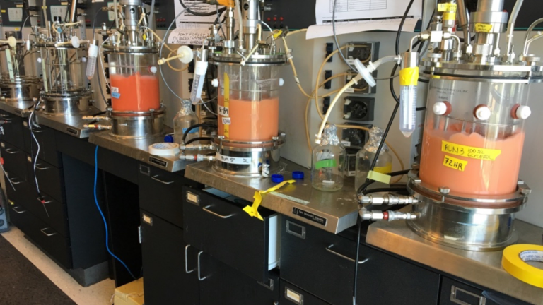 Ruby Bio Hits Fermentation Breakthrough for Clean-Label Emulsifiers