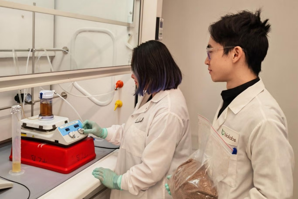 lab grown meat cost