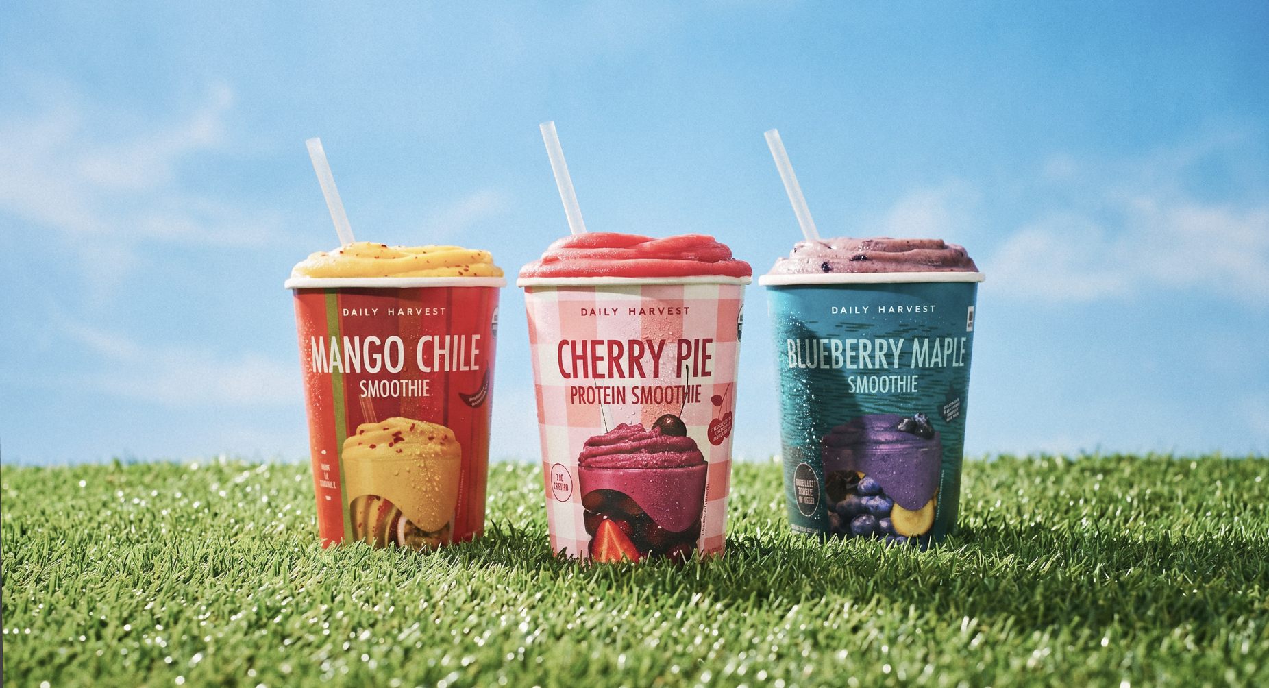 daily harvest world cup smoothies
