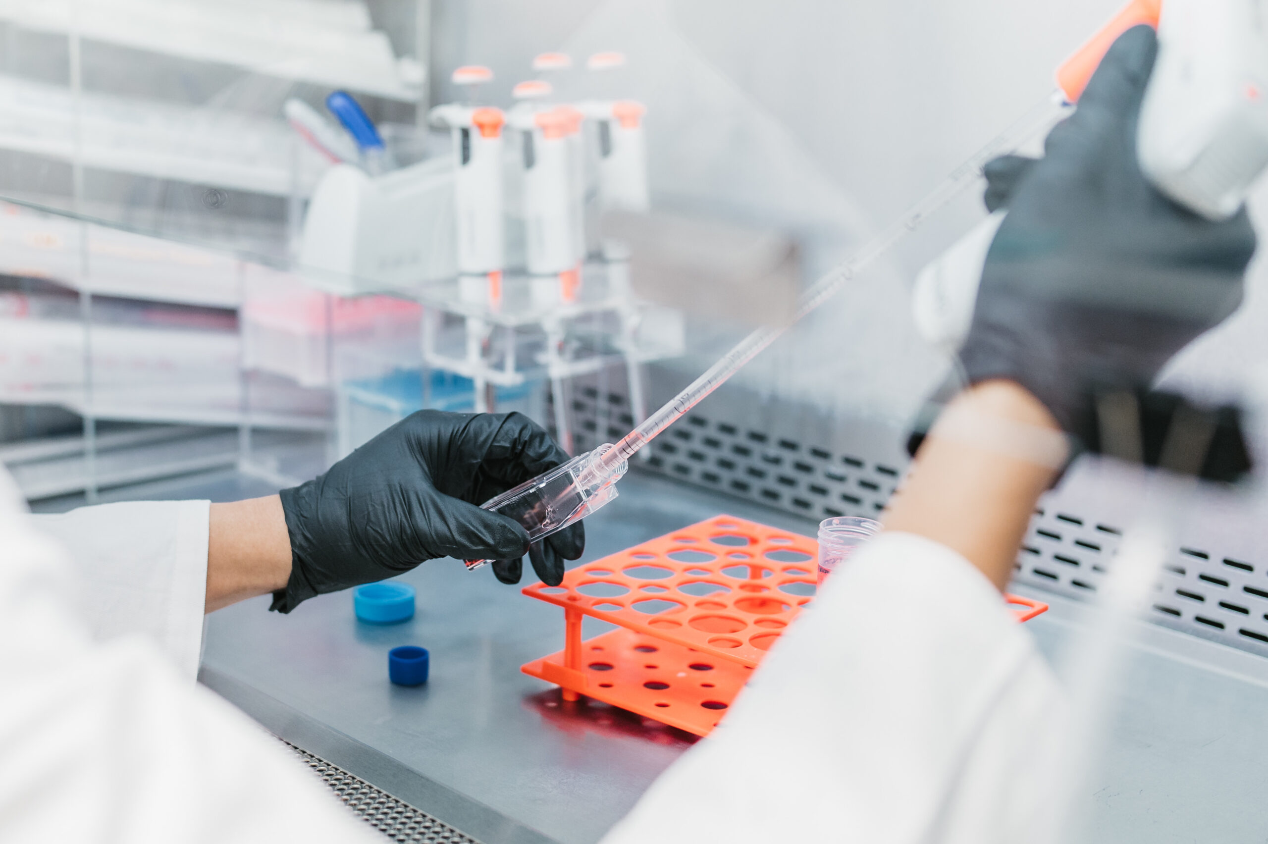 cell cultured collagen