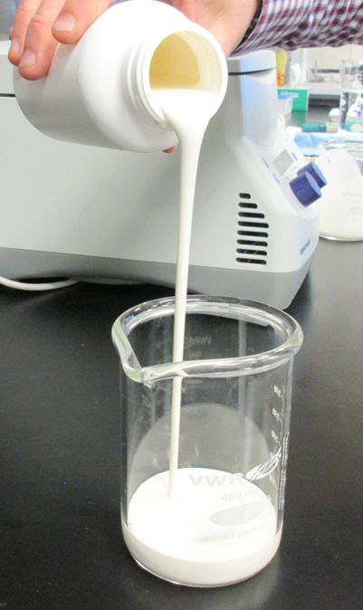oleosome fat