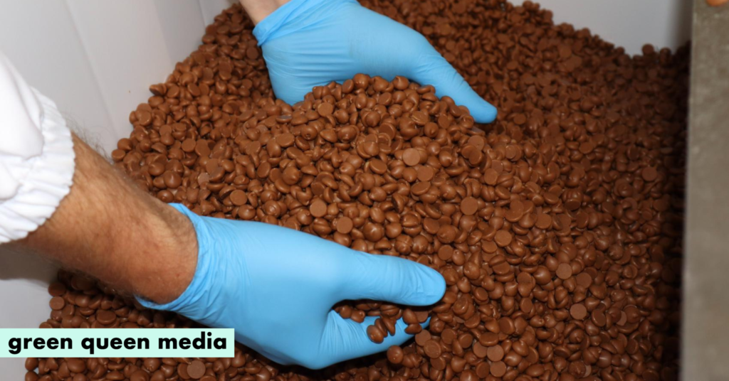 Italy’s Foreverland Unveils ‘Functional’ Cocoa-Free Chocolate with High Fibre & No Added Sugar