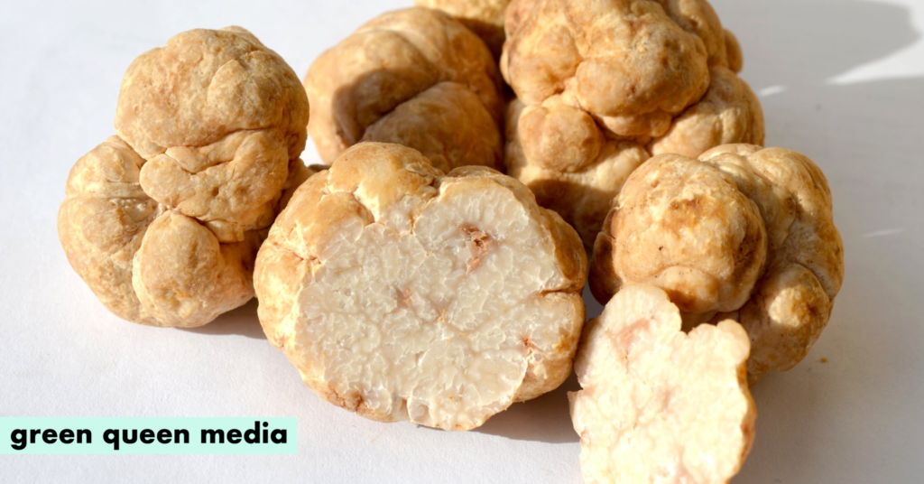 MycoTechnology Pairs Sweet Protein Adorvia Biotechnology’s Stevia to Replace Sugar