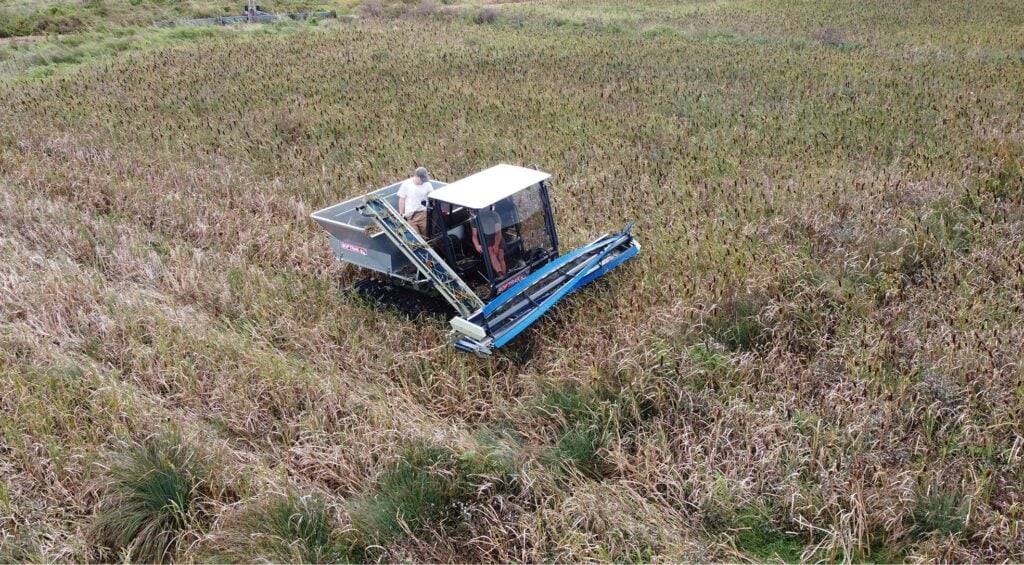 defra peatland restoration