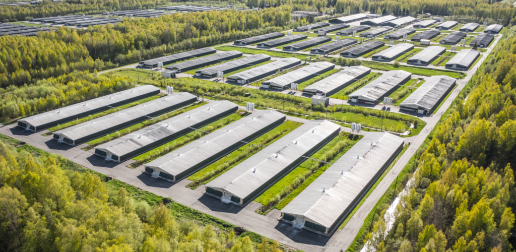 iowa factory farming