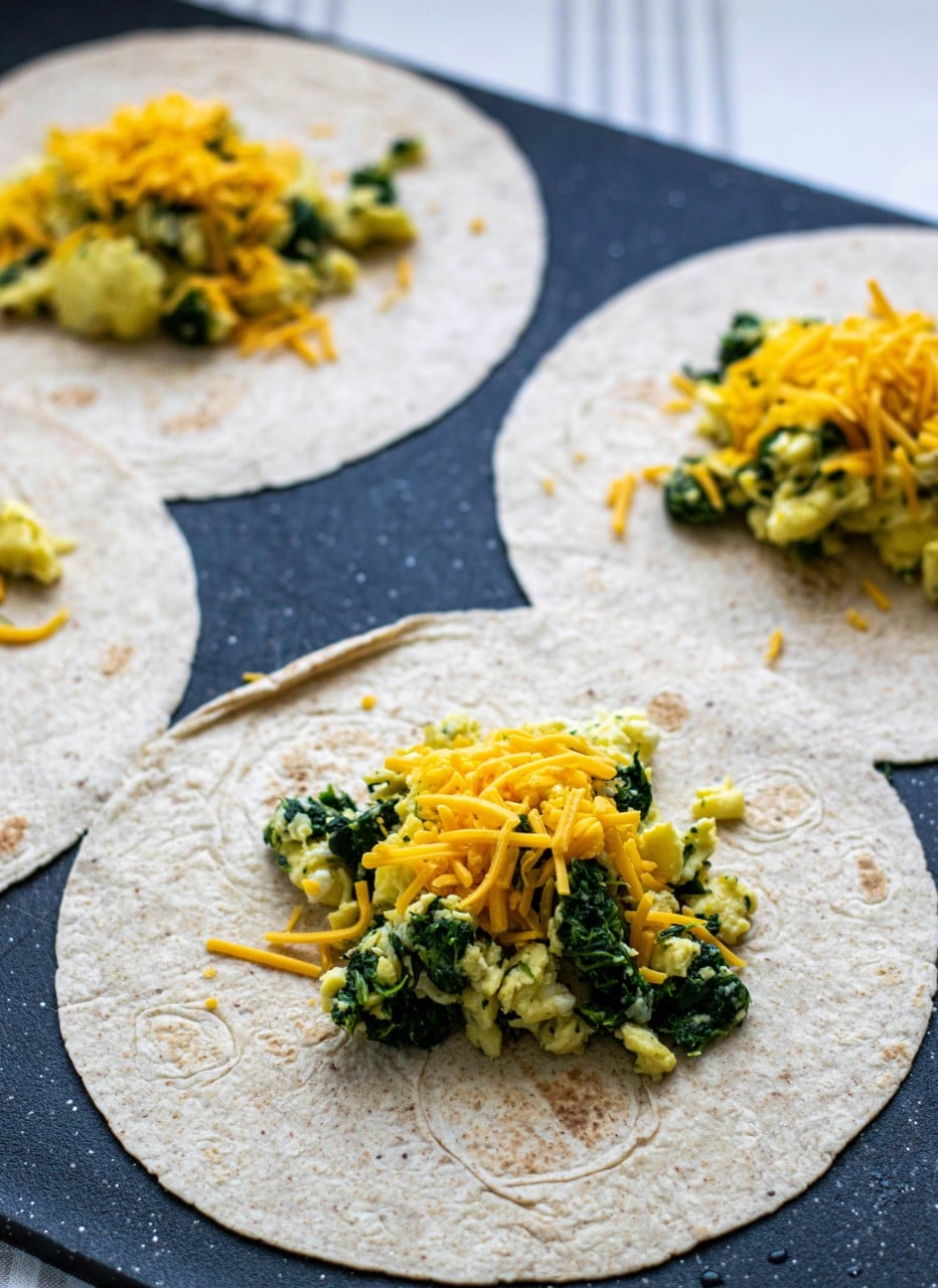 vegan protein cheese
