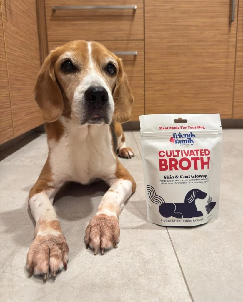 cultivated meat dog food
