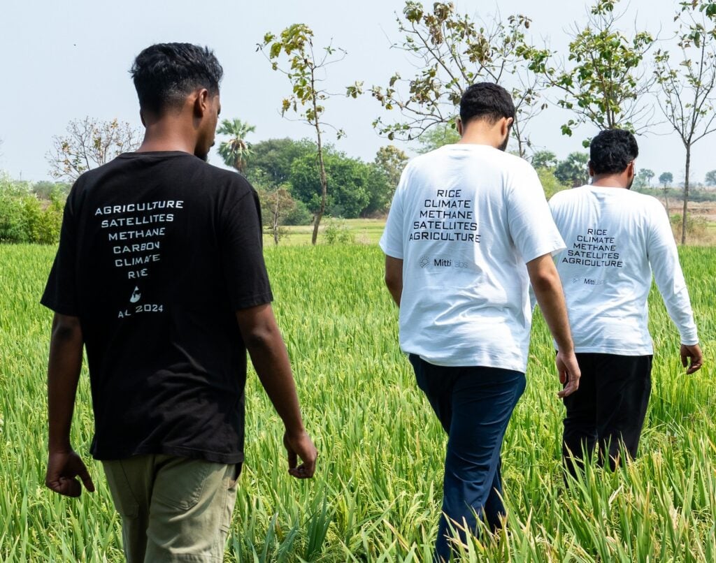 climate smart rice farming