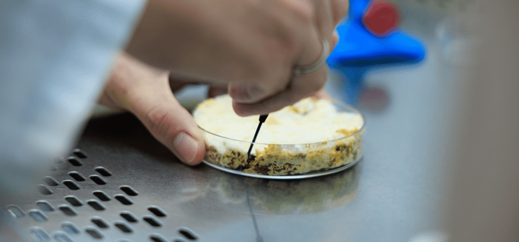 food waste fermentation